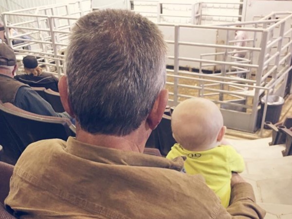 So when I move to Missouri, where do I buy cows? The sale barn of course. We start them young
