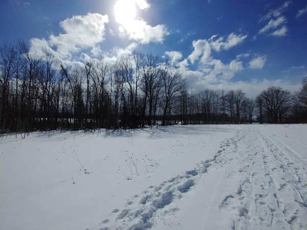 Make tracks to Maplehurst Natural Area for a spring snowshoe