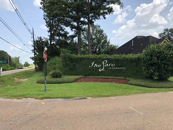 One street subdivision with a water view located a very short drive from I-55  
