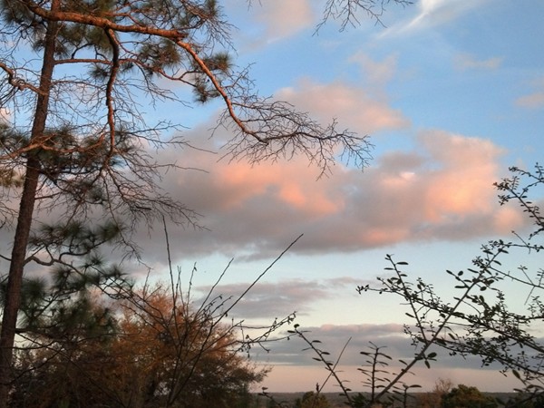 Sunset through the pines at Saluda Ridge in Spanish Fort AL