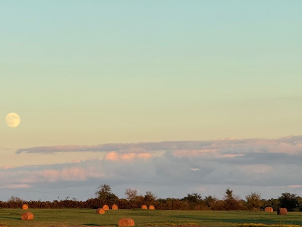 Fall nights and the Harvest moon.