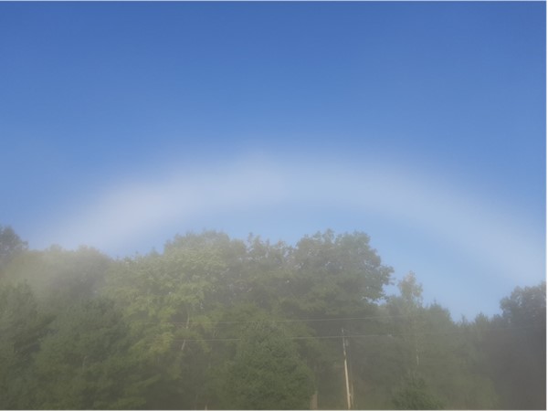 Fog bow in the early morning