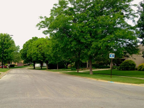 Liberty Glen has mature trees lining calm streets