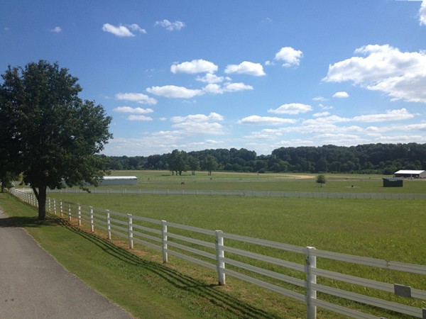 Bluewater Creek Polo Club. A beautiful polo club just east of Killen