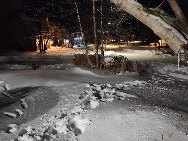A beautiful winter scene in Canyon Creek