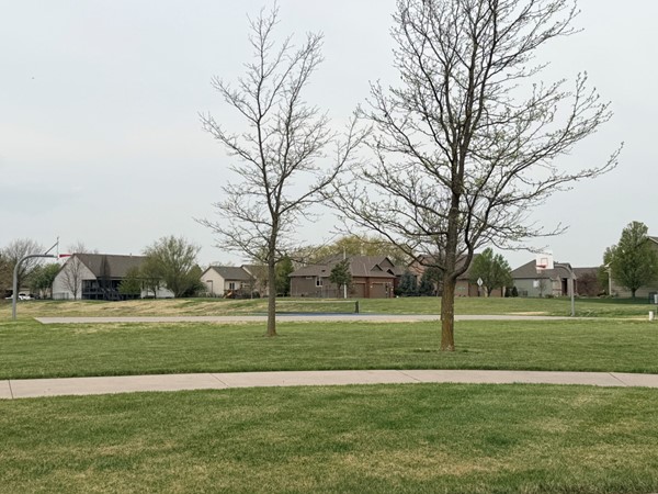 Basketball court, pickleball court, and open space right in the neighborhood.