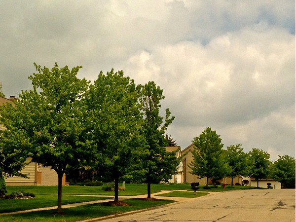 Tree-lined streets in the neighborhood