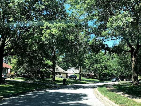 The tree-studded Sheridan Park neighborhood