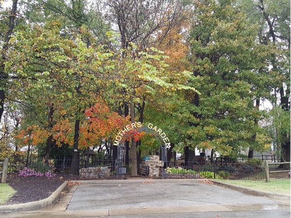 Beautiful, rainy fall day at Mother's Garden Park 