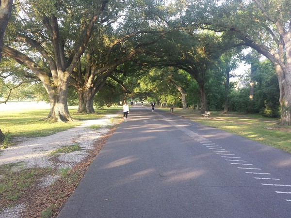 Walking path at Audubon Park, New Orleans