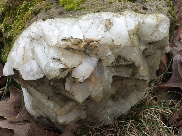 Quartz rock in my backyard. Arkansas has quartz crystal mines