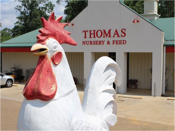 The "Rooster" at Thomas Nursery & Feed is a tribute to the area's hard-working poultry farmers