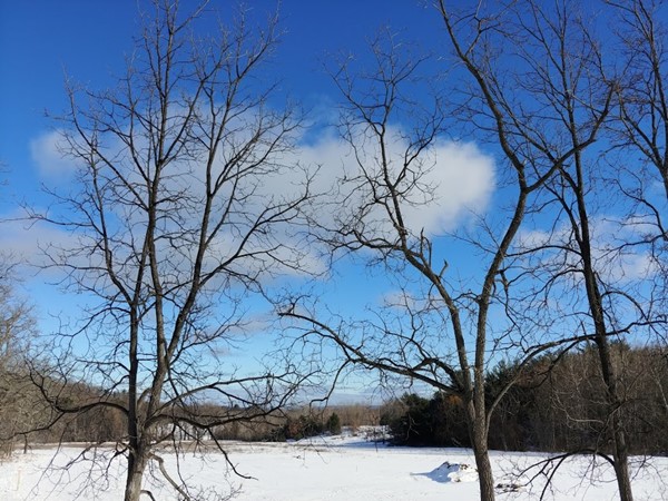 Head to Hickory Meadows for cross country skiing, snowshoeing and hiking! Pups are welcome