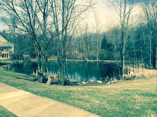 Pond at Hatch entrance-Cornell Woods