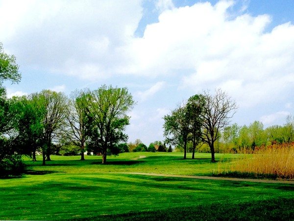 Stonebridge Golf Course 