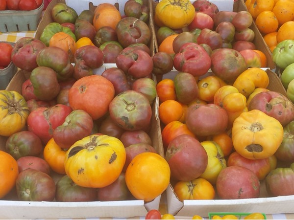 Pennington Farmers Market - heirloom tomatoes 