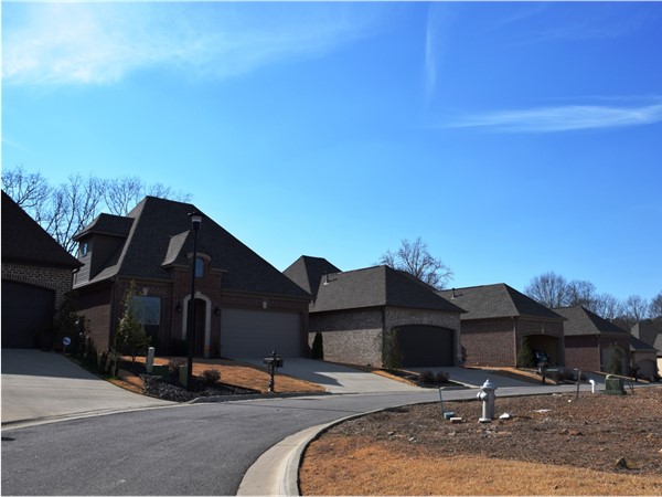 Juniel Point is a small development, but incredibly convenient to all West Little Rock has to offer