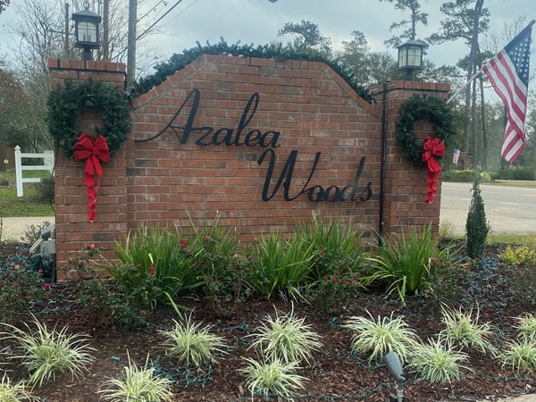 Christmas lights at the entry to Azalea Woods