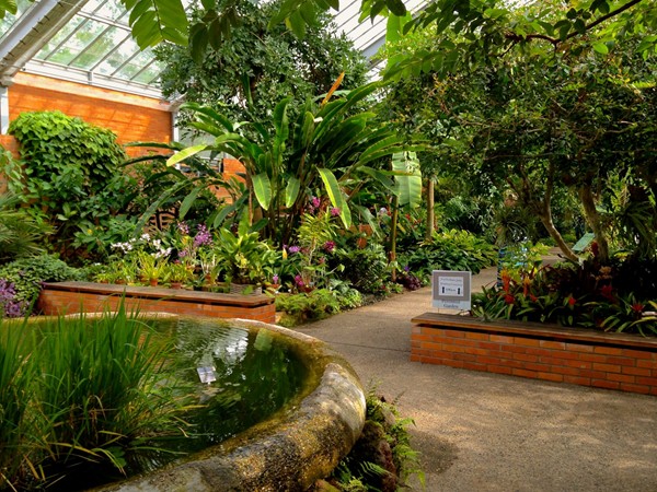 The beautiful Matthaei Botanical Gardens Conservatory