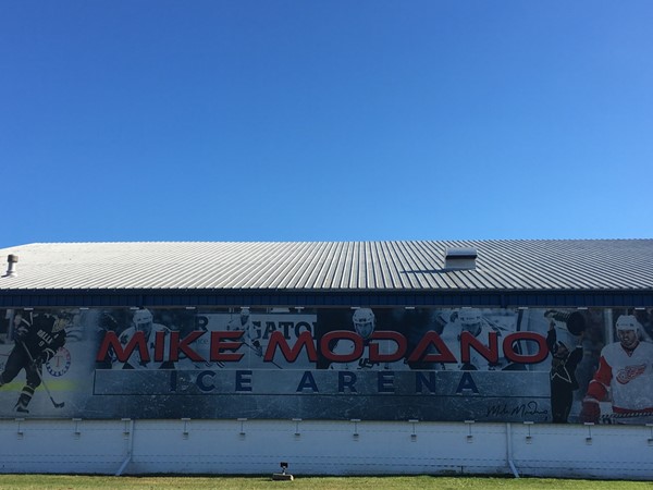 Enjoy ice skating and hockey at Mike Modano Ice Arena. Southeast corner of Hunter and Wildwood