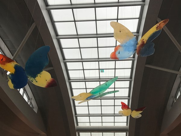 The butterflies at the Children's Hospital in Oklahoma City