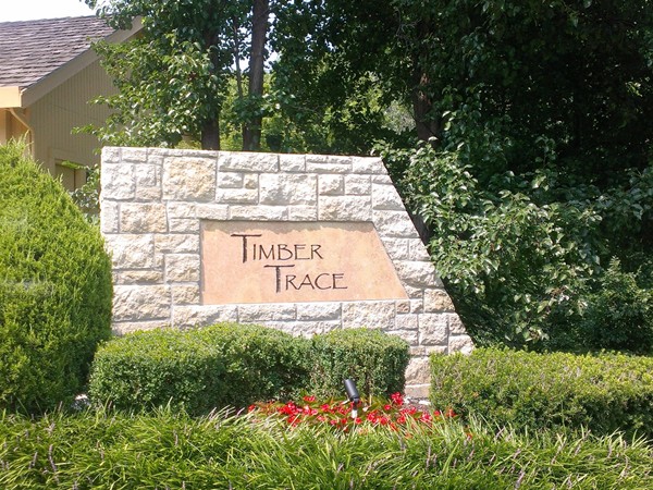 Timber Trace