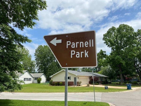 Lakeview Terrace Subdivision in Branson, MO