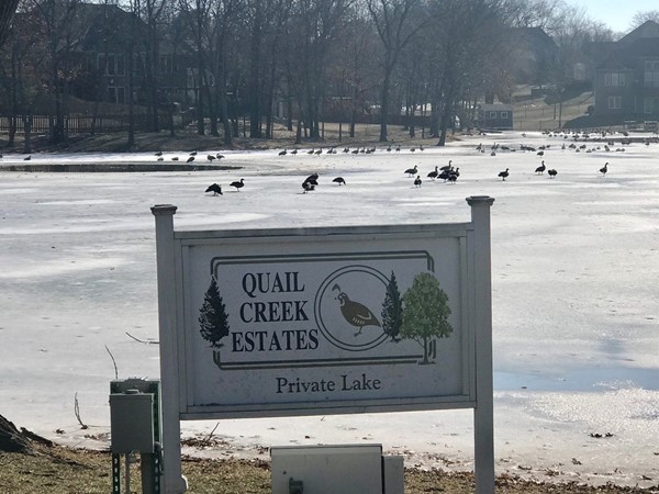 Quail Creek Estates private lake