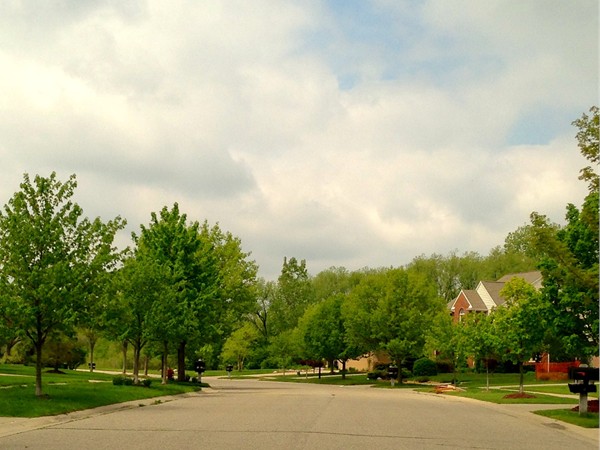 One of many peaceful streets in the Lake Forest Highlands Development