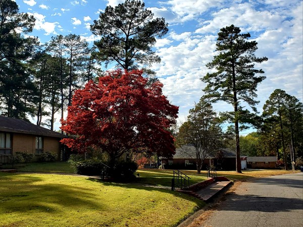 Fall in Allenwood Subdivision