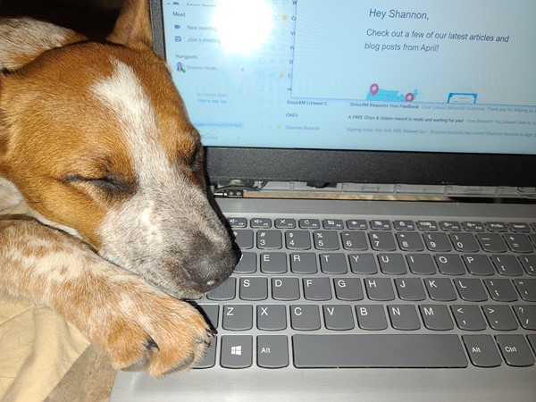 Real estate work is exhausting. This is Broker Assistant, Lexi 