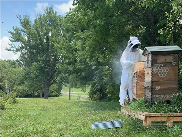 Honey season is starting so be sure to get honey from your local beekeeper! Save the bees!
