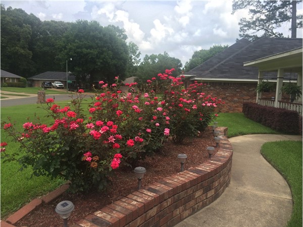 Discover some of the most beautiful gardens in SW Shreveport