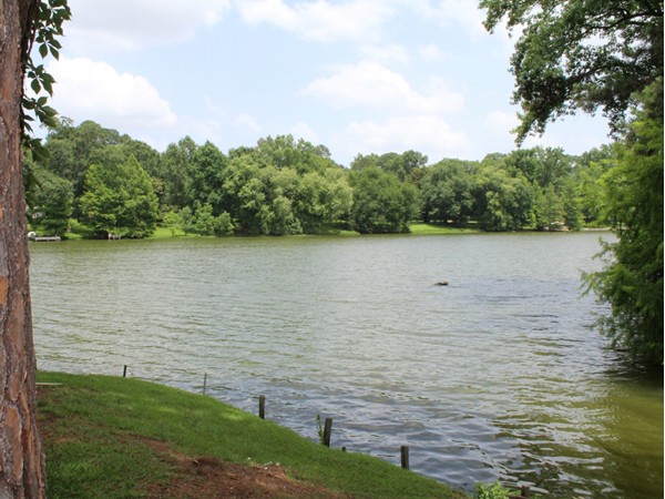 Lush landscapes, towering trees and a beautiful lake can all be found at Country Club Place