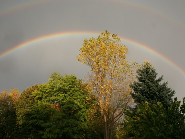 Life's not so bad under the rainbow in Haslett