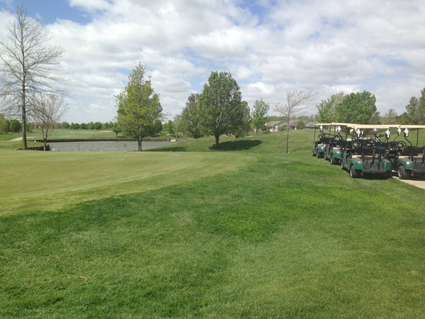 This scenic Auburn Hills golf course was designed by world renowned golf course designer, Perry Dye