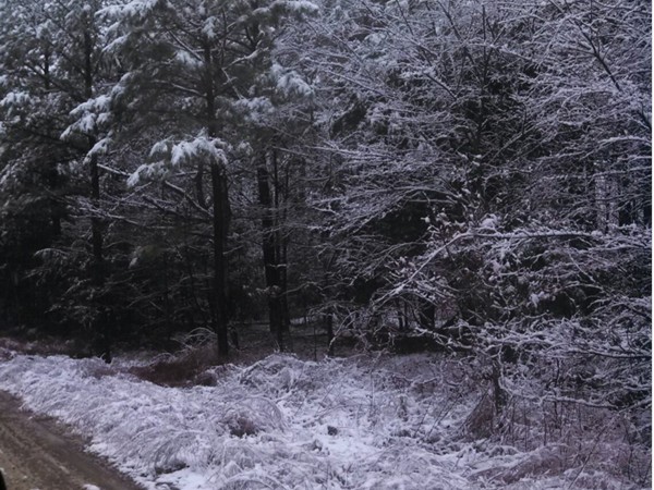 Snowing in the Sans Bois 