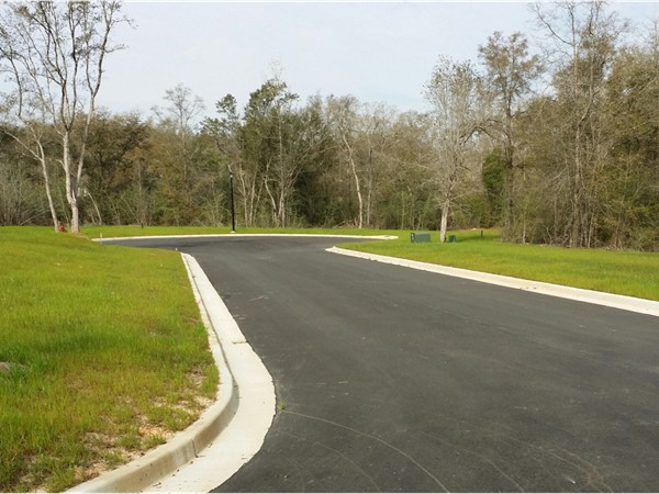 Charleston Ridge: So much potential, empty lots just waiting for your new home!