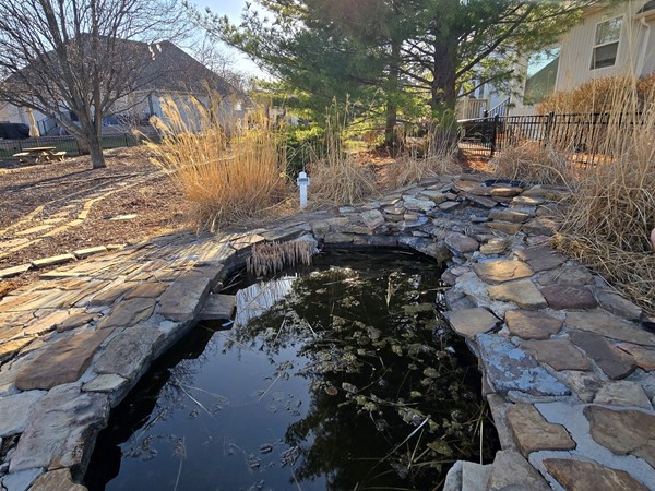 Winterset Koi Pond