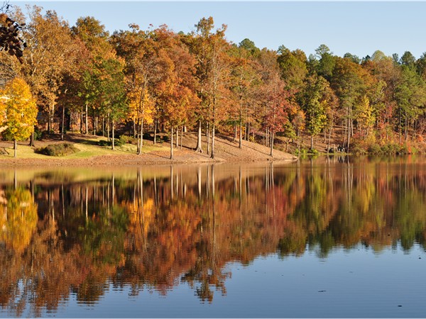 Highland Lakes: Blue Heron Lake, one of five fabulous lakes stocked with large mouth bass