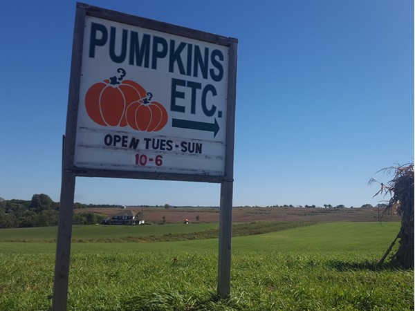 Pumpkins Etc., a Platte City family owned business has been delighting folks every fall since 1984 