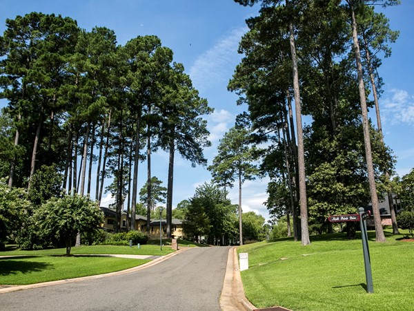 Mature pines throughout the neighborhood gives a woodsy and cozy feeling to this subdivision