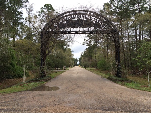 Old Mandeville Woods features a stunning one street subdivision near The Causeway