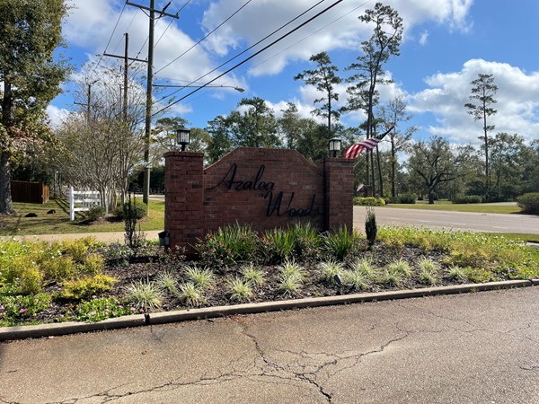Located off Highway 22 between Springfield and Ponchatoula