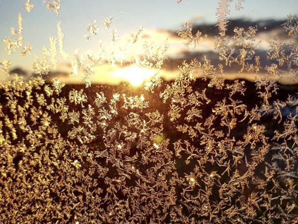 The iced window glows at sunrise in downtown Flint 