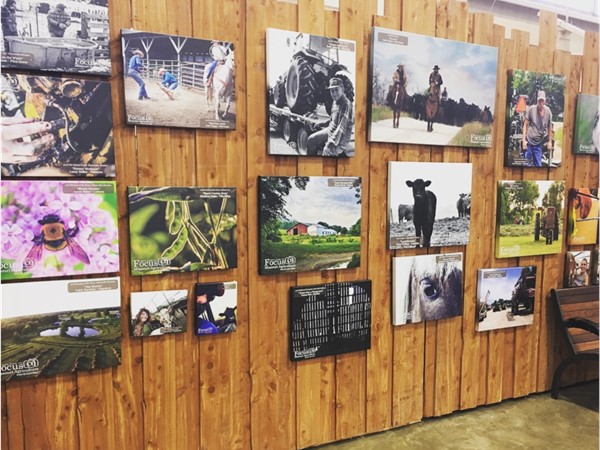 Gorgeous photos showing rural life in Missouri displayed at the State Fair