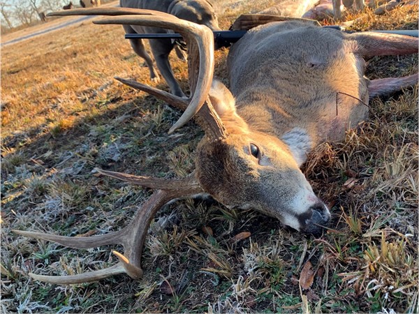 Won’t be long before deer season opens in Southeast OK