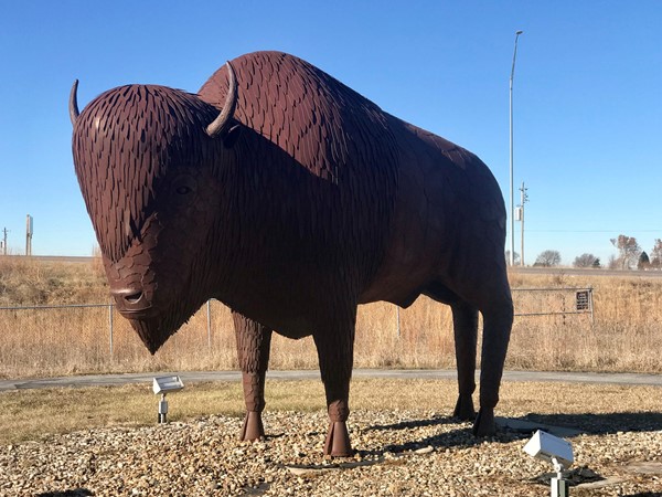 A buffalo greets visitors to Prairie City coming from the Neal Smith Wildlife Refuge