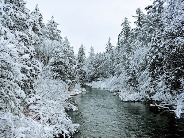 Visit the Boardman River near Sheck's Campground for winter beauty