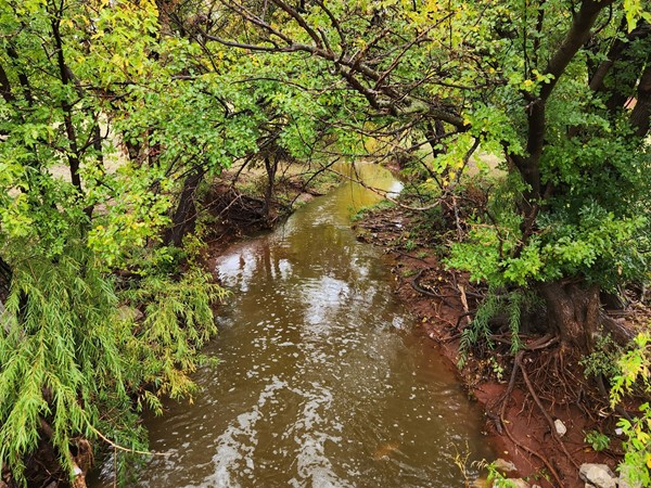 The beautiful creek in Willow Creek Estates
